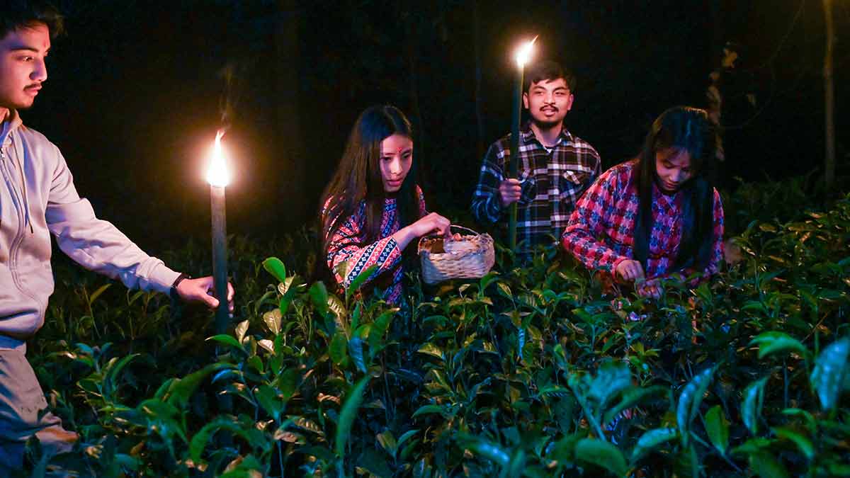 19-A-moonlight-plucking-session 19-A-moonlight-plucking-session